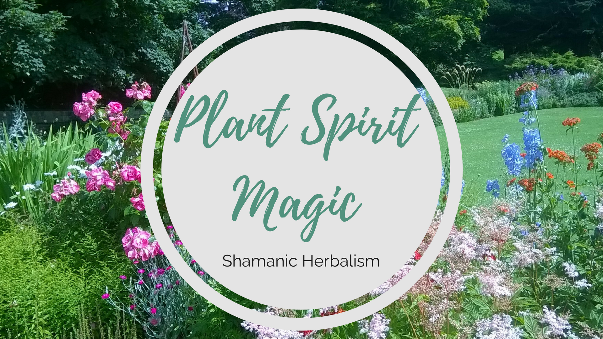 Plant Spirit Healing