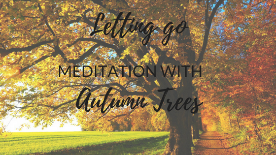 meditation with autumn trees