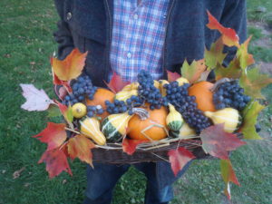 Autumn gourds