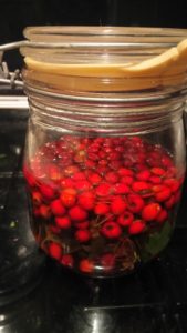 hawthorn elixir