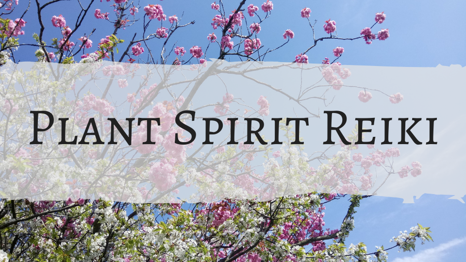 Plant Spirit Reiki online course