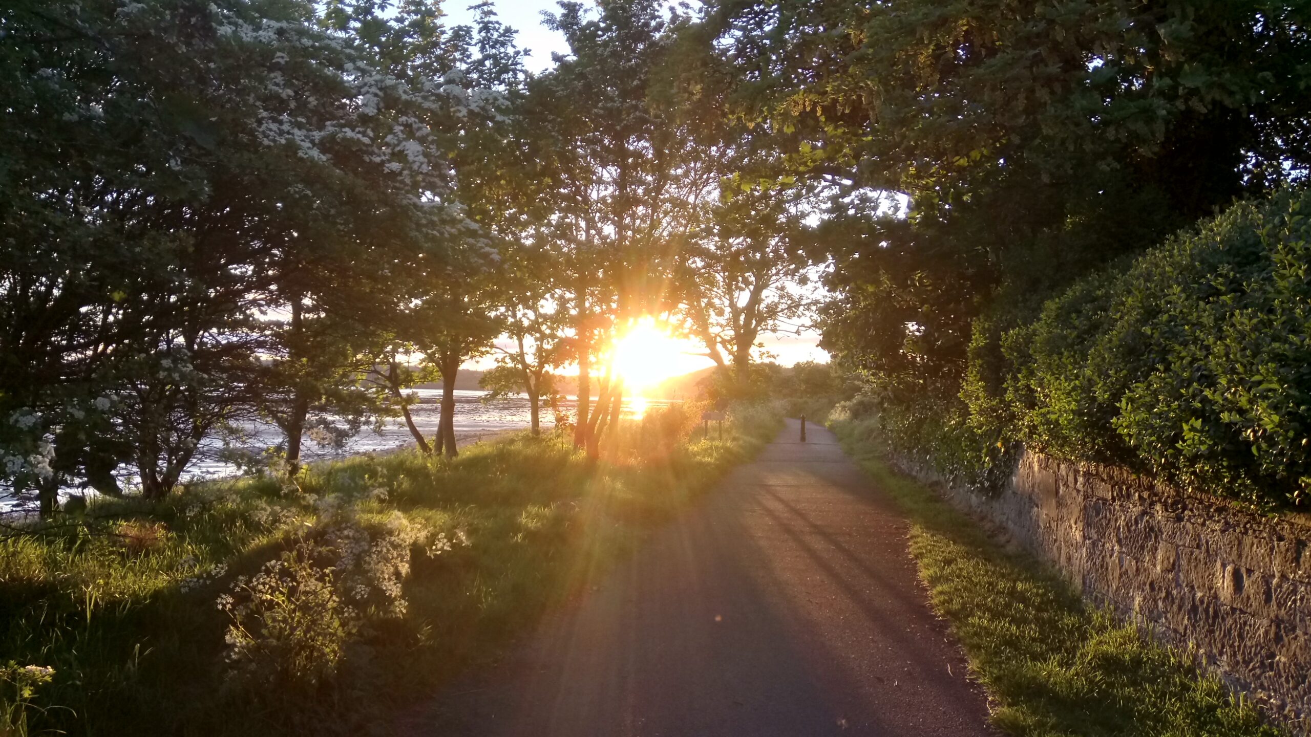 Walking meditation in nature