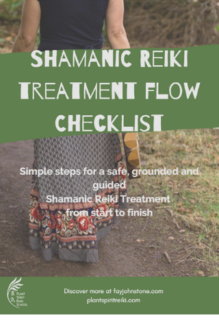Shamanic Reiki Treatment checklist