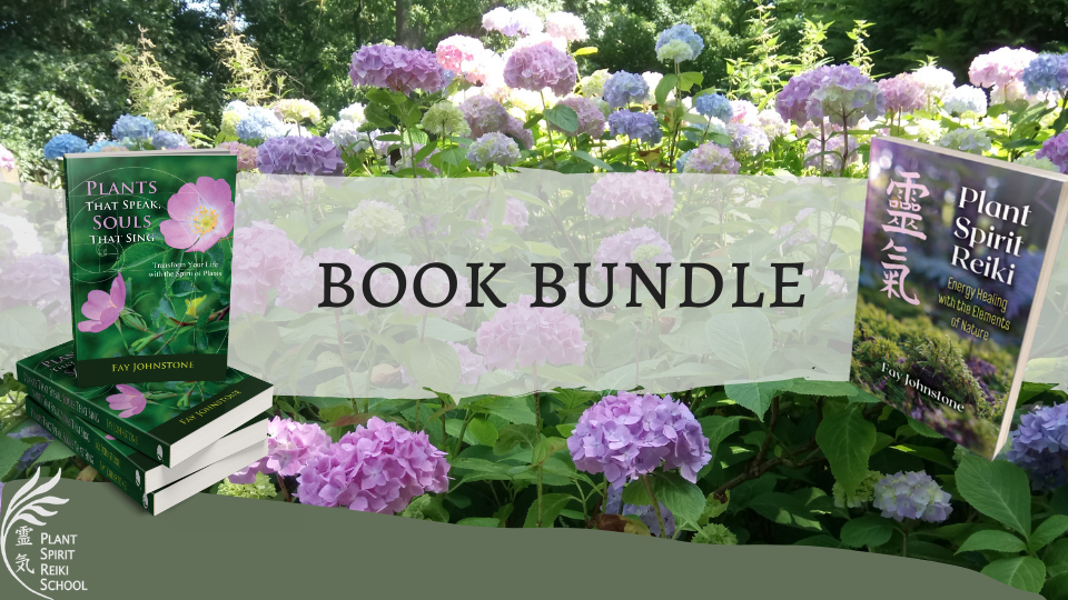 Book Bundle gift voucher