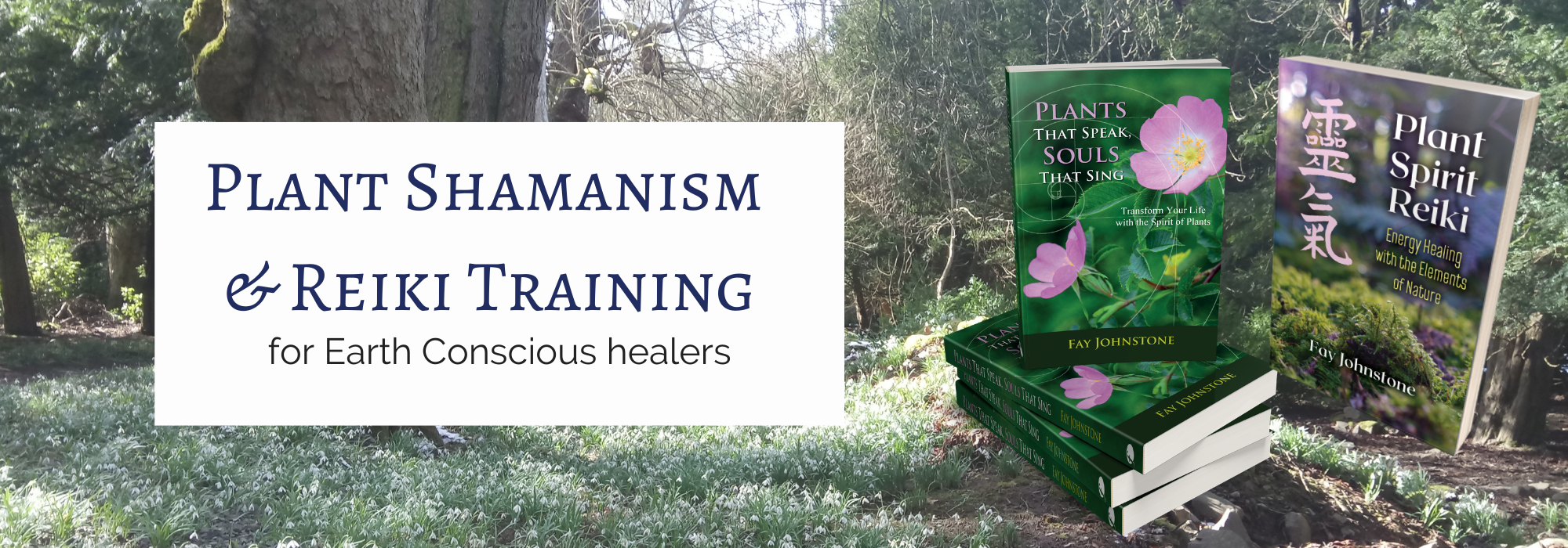 Plant Shamanism and Reiki Training with Fay Johnstone