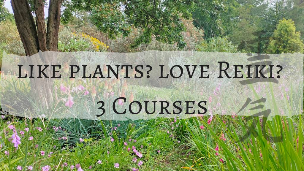 Like Plants Love Reiki 3 online courses
