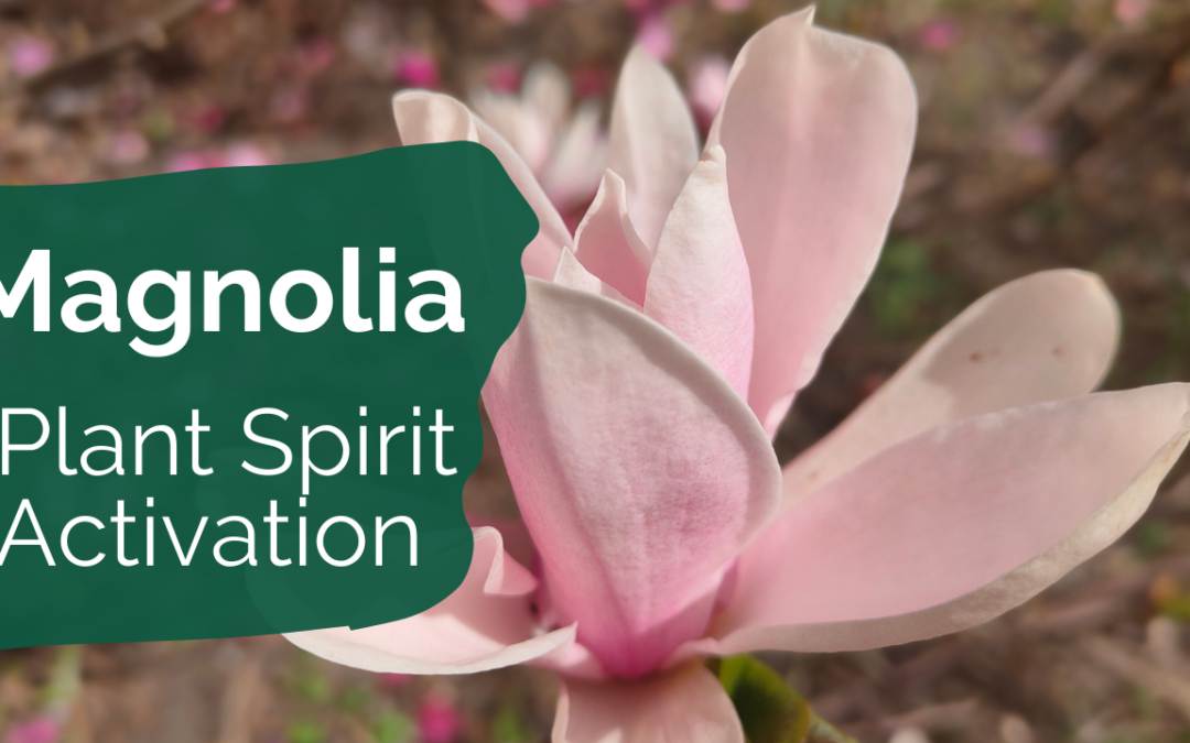 Magnolia plant spirit activation