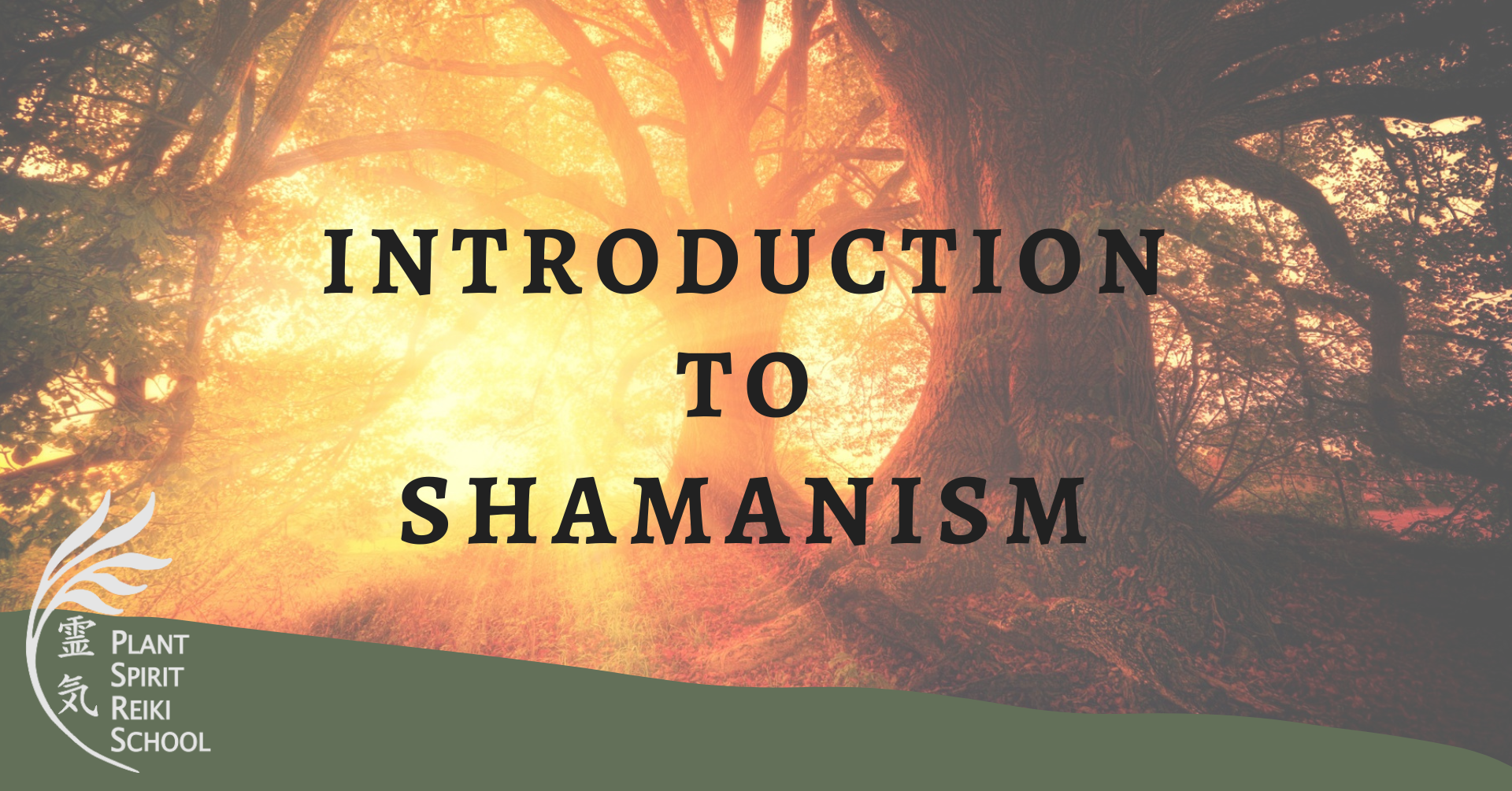 introduction to shamanism in person weekend