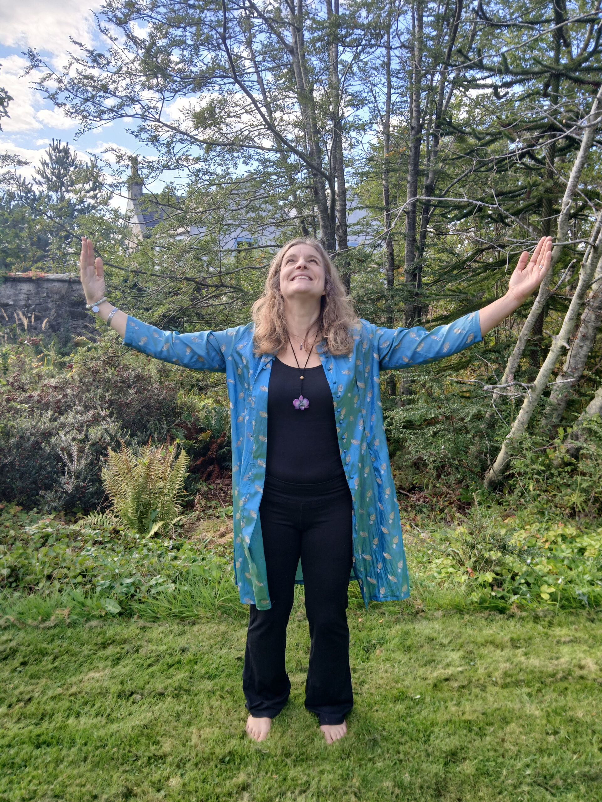 plant spirit meditation