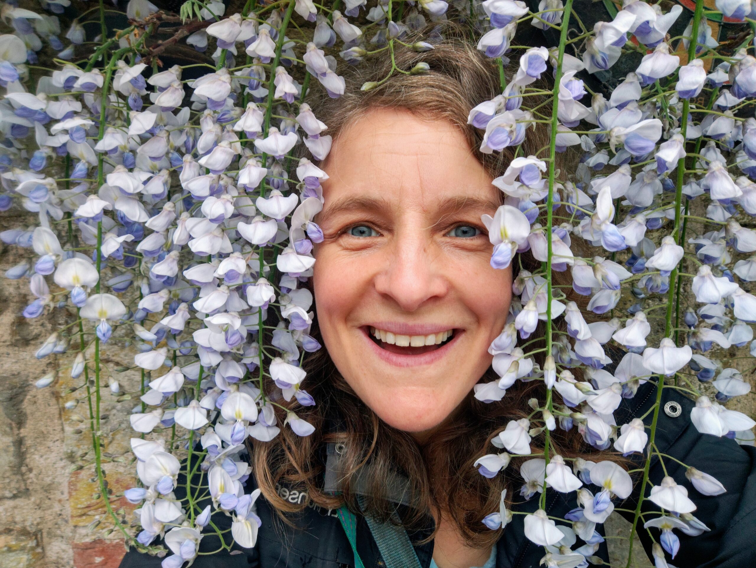plant spirit meditation