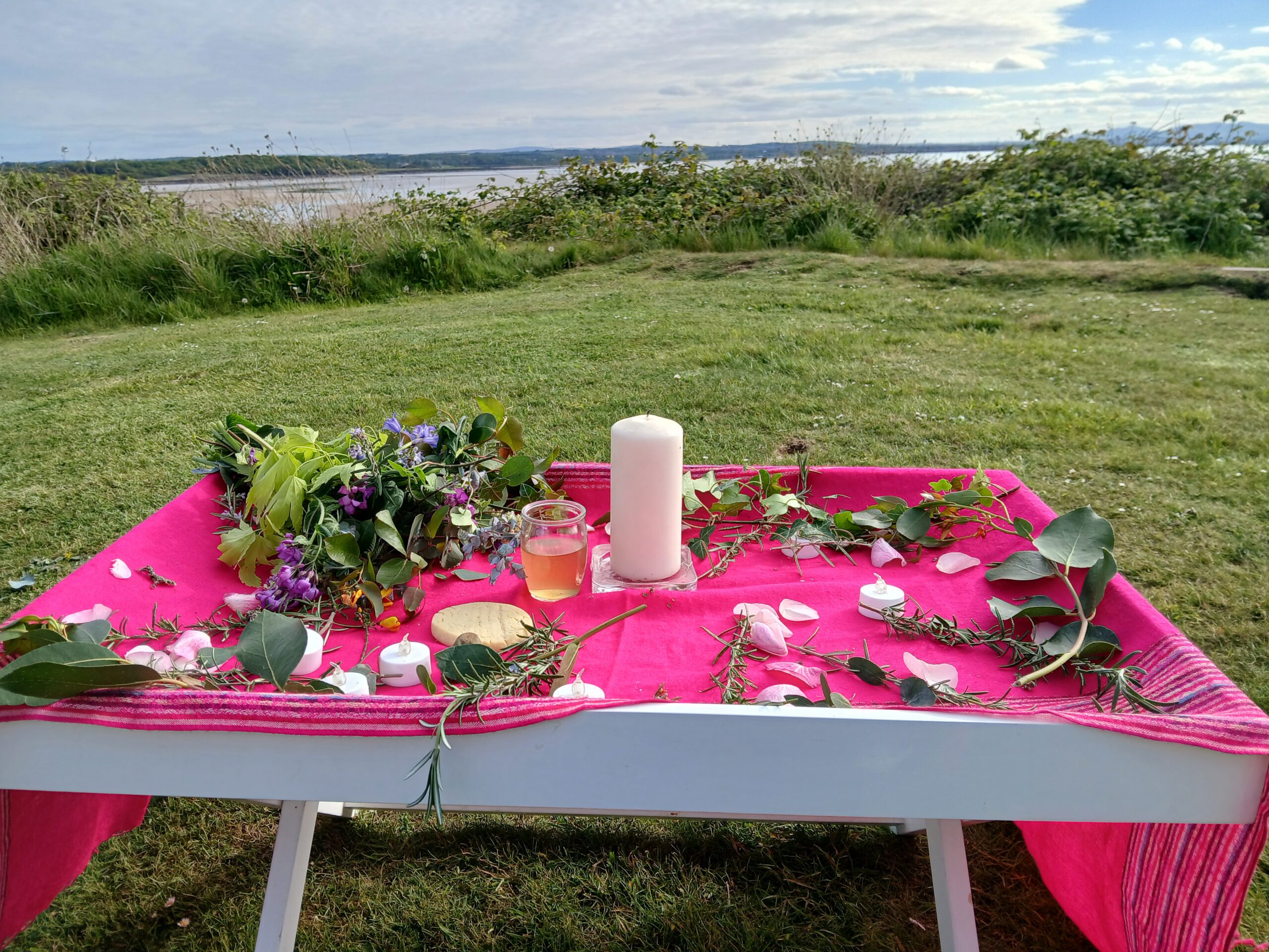 plant spirit meditation