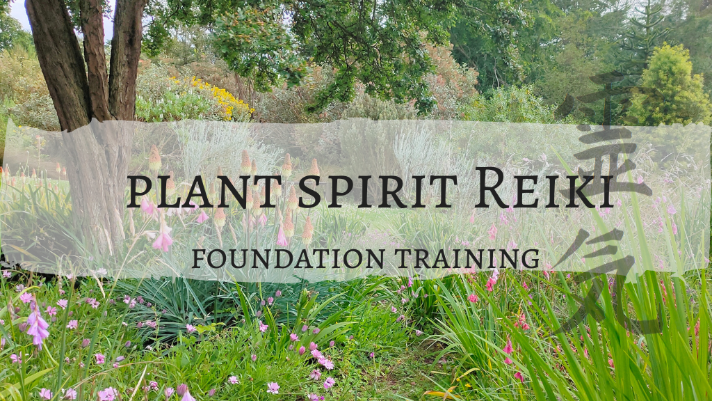 Plant Spirit Reiki foundation