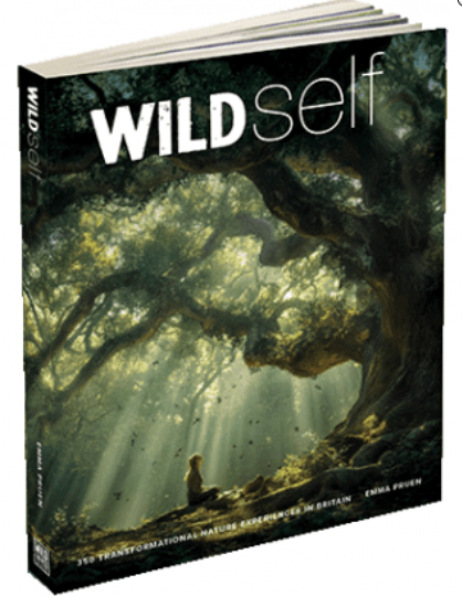 wild self book